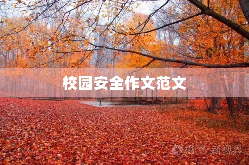 校园安全作文范文 校园安全作文范文