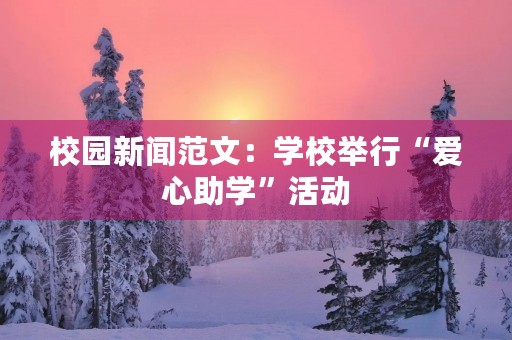 校园新闻范文：学校举行“爱心助学”活动