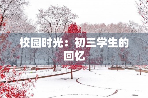 校园时光:初三学生的回忆 校园时光:初三学生的回忆