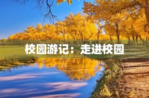 校园游记：走进校园，感受青春