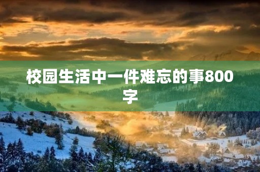 校园生活中一件难忘的事800字