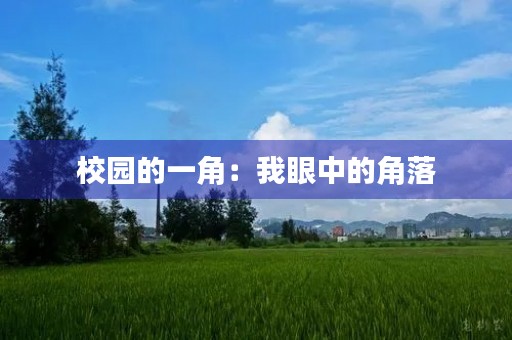 校园的一角：我眼中的角落