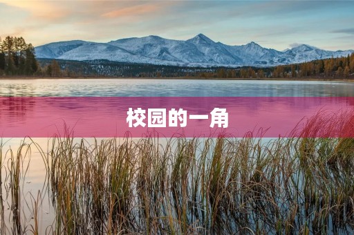 校园的一角