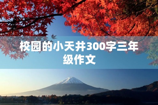 校园的小天井300字三年级作文 校园的小天井300字三年级作文