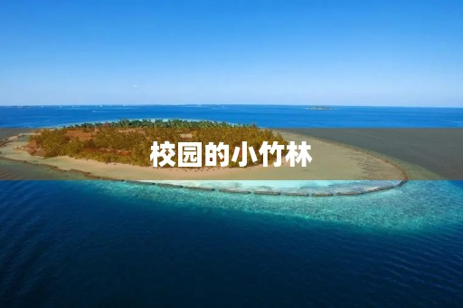 校园的小竹林