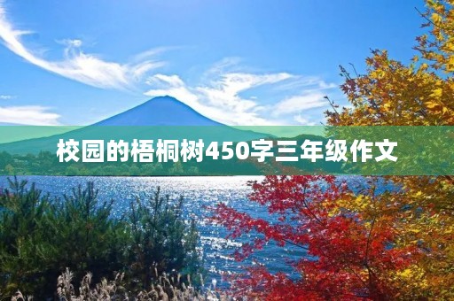 校园的梧桐树450字三年级作文