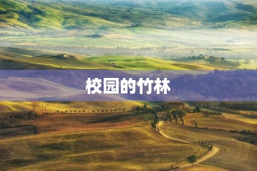 校园的竹林