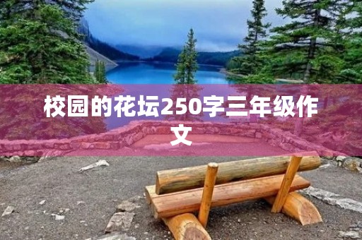 校园的花坛250字三年级作文 校园的花坛250字三年级作文