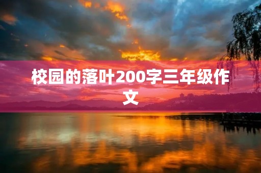 校园的落叶200字三年级作文