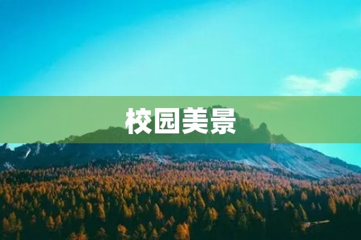 校园美景