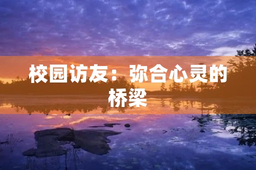 校园访友:弥合心灵的桥梁 校园访友:弥合心灵的桥梁