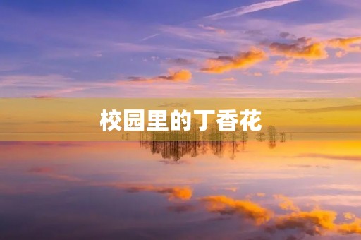 校园里的丁香花