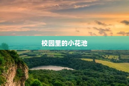 校园里的小花池 校园里的小花池