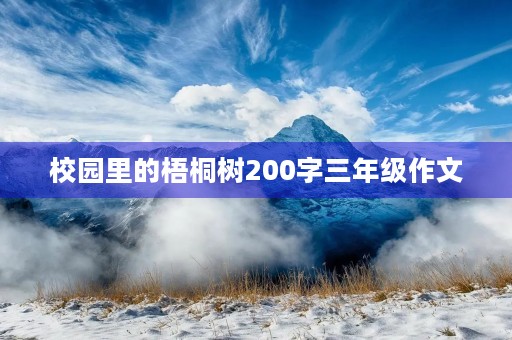 校园里的梧桐树200字三年级作文