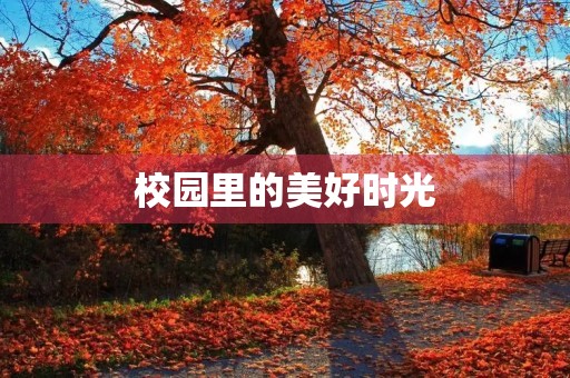 校园里的美好时光 校园里的美好时光