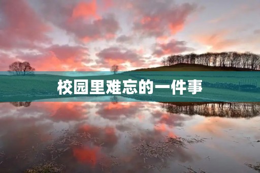 校园里难忘的一件事 校园里难忘的一件事