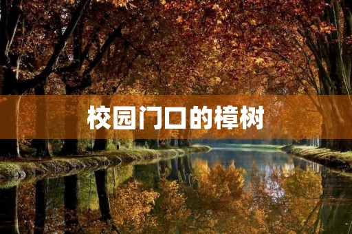 校园门口的樟树