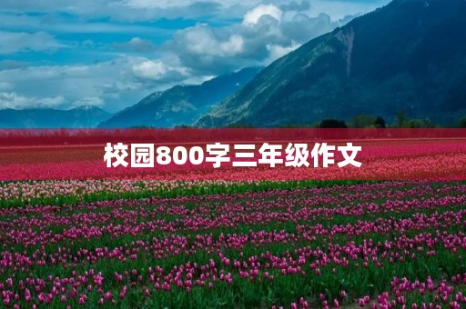校园800字三年级作文 校园800字三年级作文