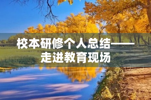 校本研修个人总结——走进教育现场，实现自我提升