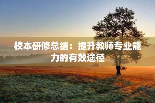 校本研修总结：提升教师专业能力的有效途径