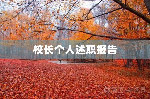 校长个人述职报告 校长个人述职报告