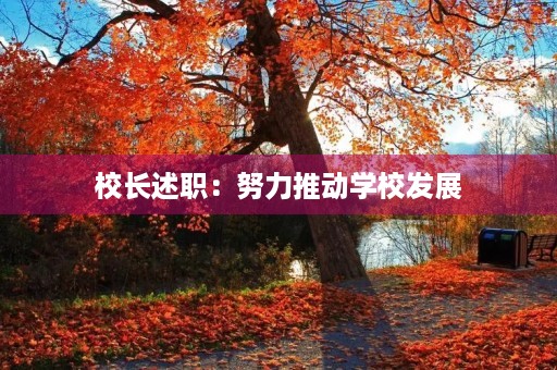 校长述职:努力推动学校发展 校长述职:努力推动学校发展