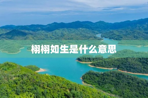 栩栩如生是什么意思