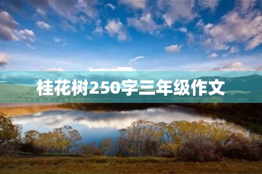 桂花树250字三年级作文