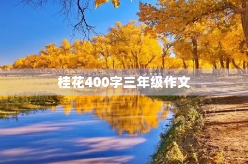 桂花400字三年级作文