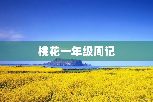 桃花一年级周记