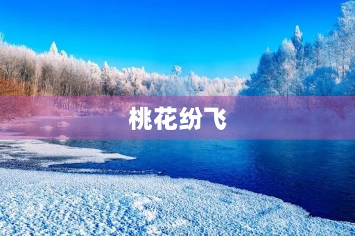 桃花纷飞,我爱桃花 桃花纷飞,我爱桃花