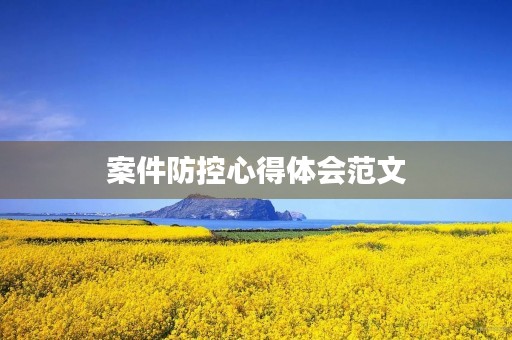 案件防控心得体会范文