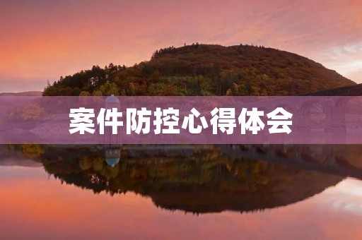 案件防控心得体会