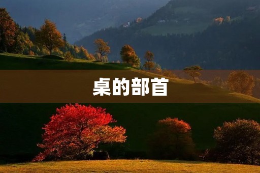 桌的部首(桌的部首) 桌的部首(桌的部首)