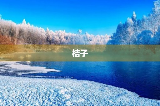 桔子 桔子