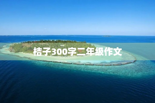 桔子300字二年级作文