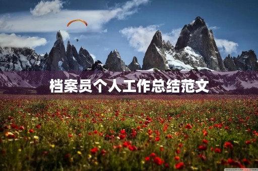 档案员个人工作总结范文
