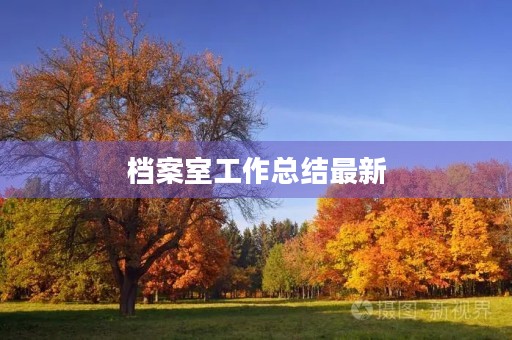 档案室工作总结最新