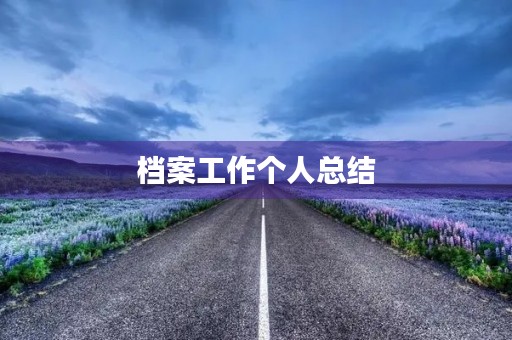 档案工作个人总结