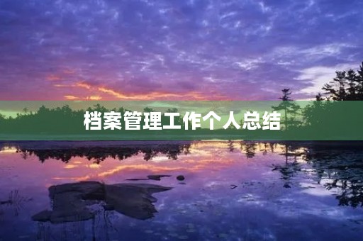 档案管理工作个人总结