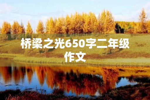 桥梁之光650字二年级作文 桥梁之光650字二年级作文