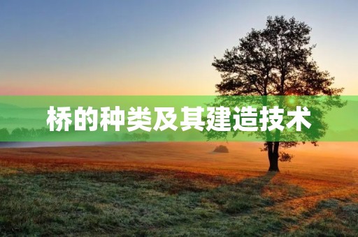 桥的种类及其建造技术 桥的种类及其建造技术