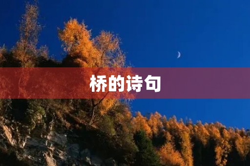 桥的诗句 桥的诗句