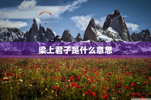 梁上君子是什么意思