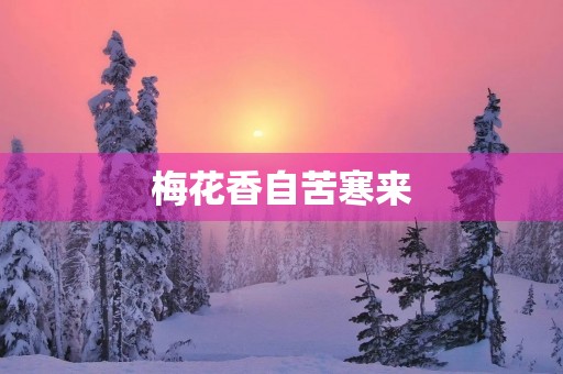 梅花香自苦寒来 梅花香自苦寒来