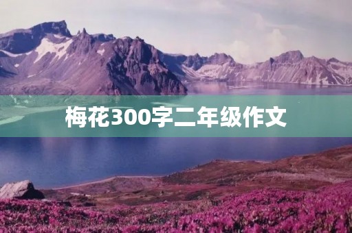 梅花300字二年级作文 梅花300字二年级作文