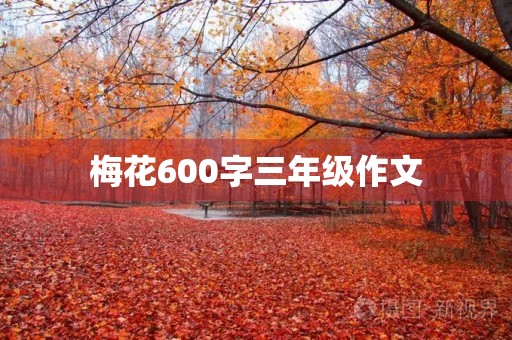 梅花600字三年级作文