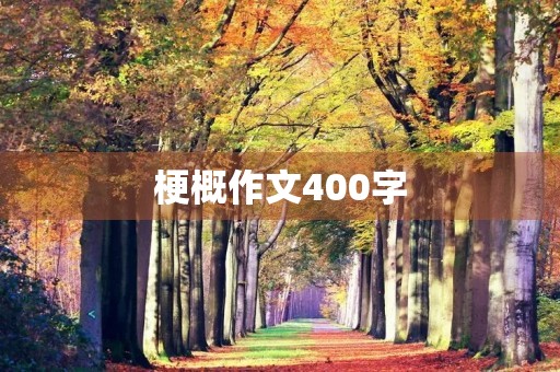 梗概作文400字
