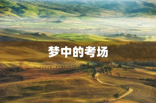 梦中的考场