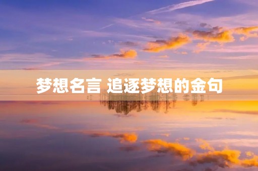 梦想名言 追逐梦想的金句